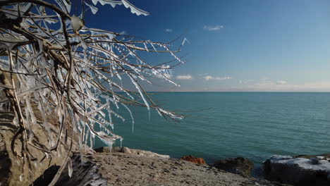 Weitwinkelschwenk,-Um-Einen-Eisbedeckten-Baum-Am-Ufer-Des-Ontariosees-Freizulegen