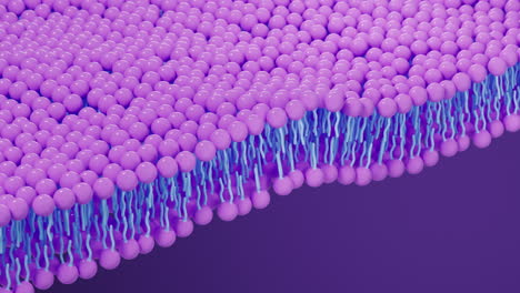 el fondo de la estructura de la membrana celular, renderización en 3d.