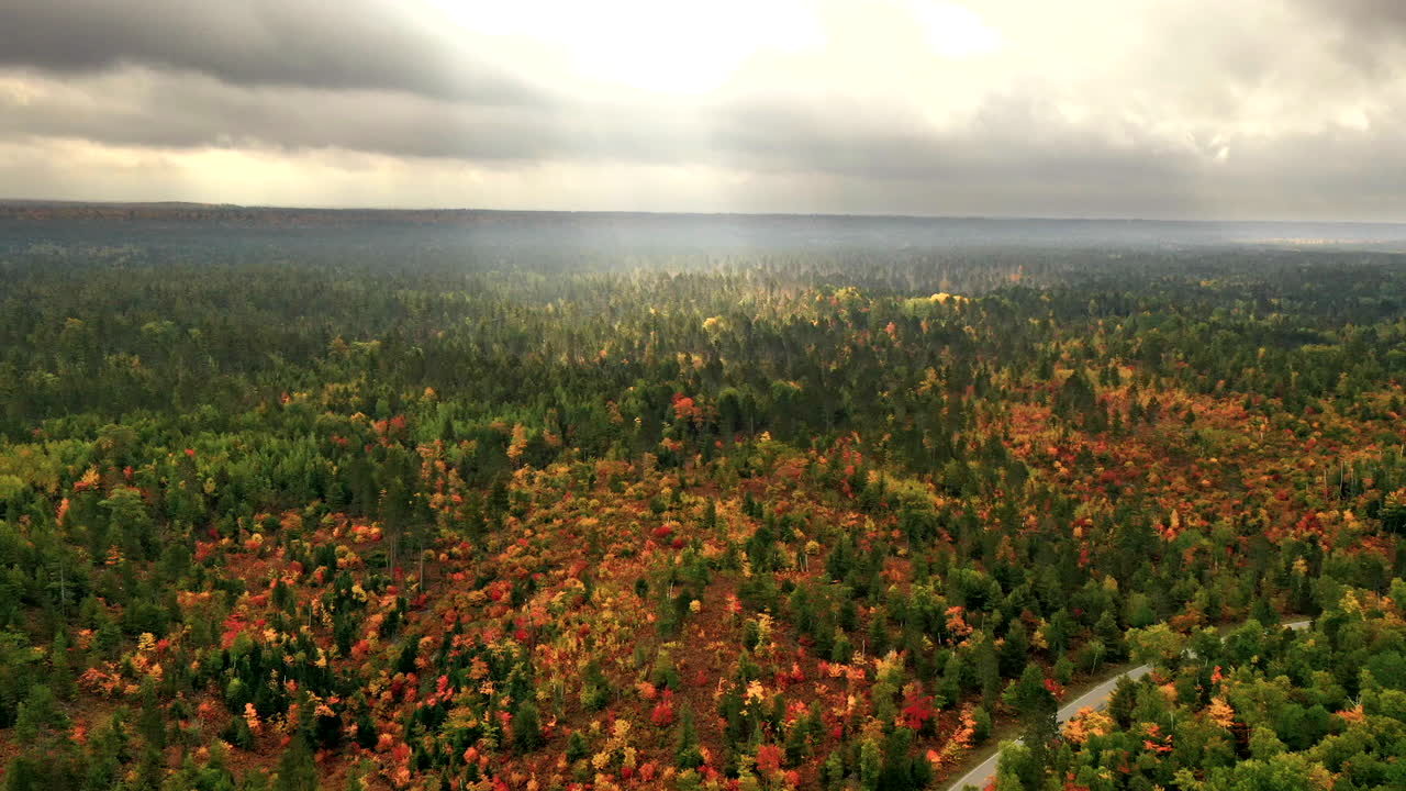 hiperlapso de sol y nubes moviéndose sobre el bosque de otoño en el norte de michigan