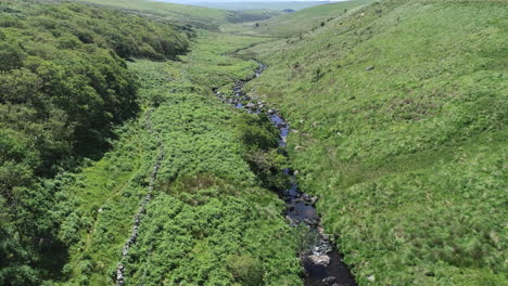 Wide-aerial-shot,-with-wistmans-wood,-a-river-and-grassy-moorland-setting-the-scene