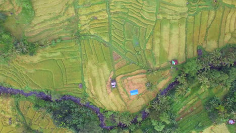 drone-flying-forward-above-green-rice-terraces-in-indonesia-bali-green-landscape