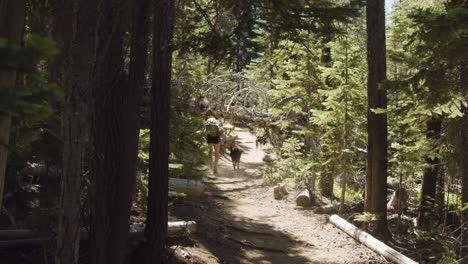 girl and black lab hiking on dirt trail