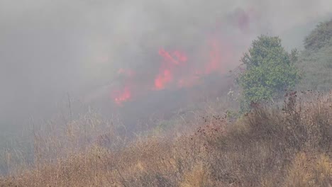 un incendio forestal arde fuera de control durante el incendio fácil cerca de simi valley, los ángeles, california, condado de ventura
