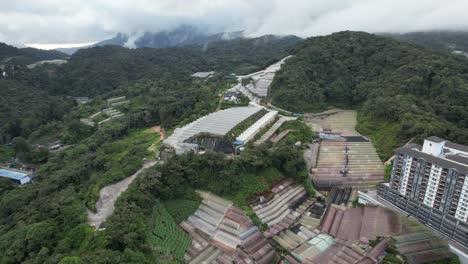 general landscape view of the brinchang district within the cameron highlands area of malaysia