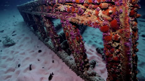 underwater wreckage with coral growth
