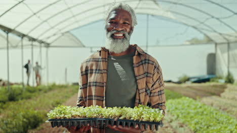 Happy-senior-black-man,-plant
