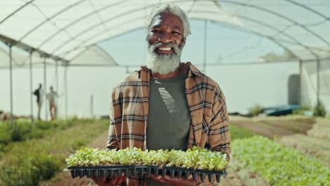 happy senior black man, plant