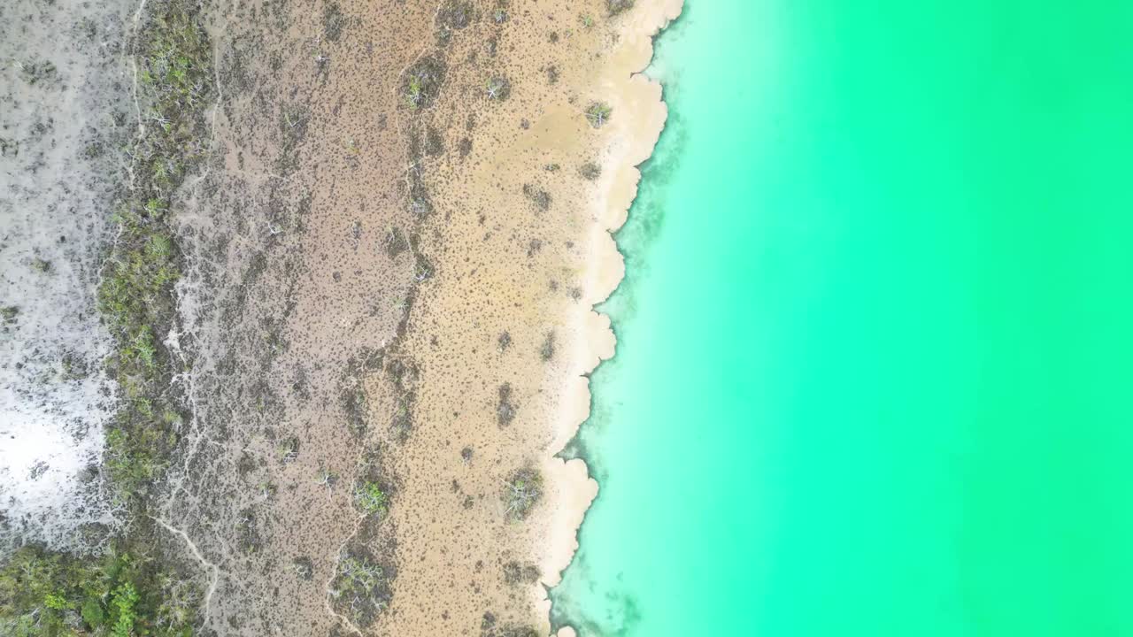 Vertical View Of White Sand With Freshwater Lagoon Of Bacalar In Quintana Roo, Mexico. Aerial Drone Shot