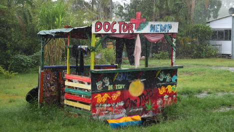 puesto de cáñamo médico en nimbin mientras llueve