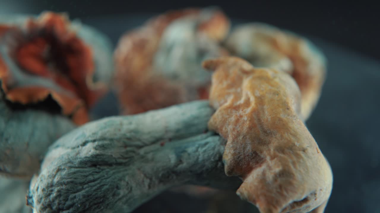 마법의 정신활성 물질인 psilocybin 환각의 마크로 영화적인 아름다운  ⁇ 은 노란색과 빨간색 모자를 가진 건조한 버섯, 회전하는 360 반사 스탠드, 전문 스튜디오 조명, 4k 비디오
