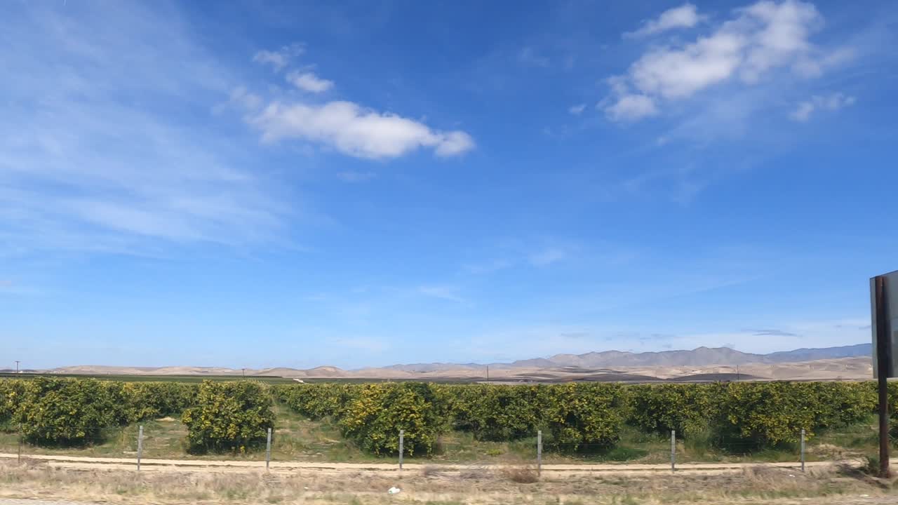 conduciendo por el campo junto a un viñedo en un día claro y soleado - punto de vista del pasajero