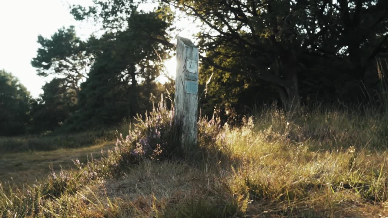 marcador de sendero de madera en un bosque soleado