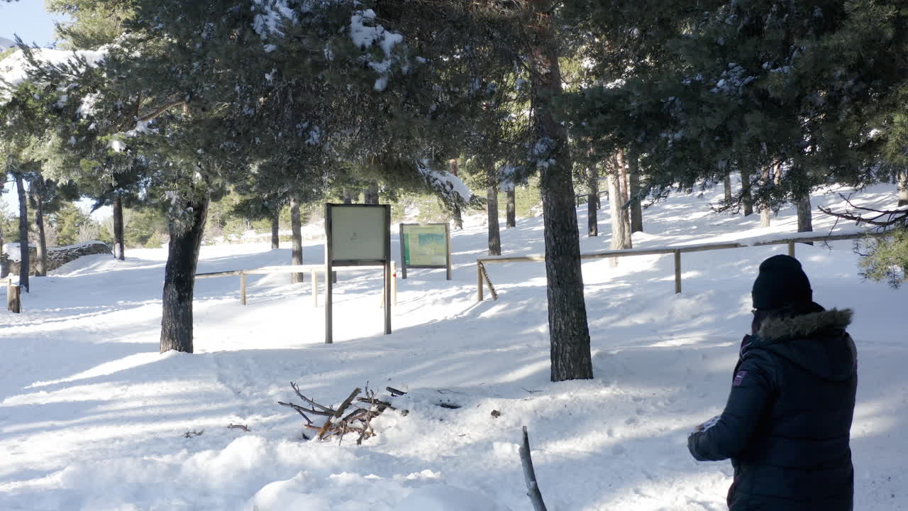 눈, 소나무, 숲 속의 갈색머리 여인이 있는 추운 겨울 장면