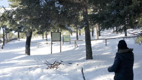 cold winter scene with snow, pines trees and a brunette lady in the forest