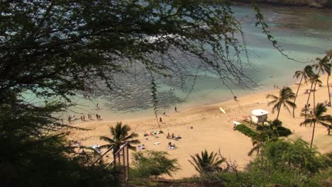 people at the beach in hanauma bay, hawaii kai neighborhood of east honolulu, oahu