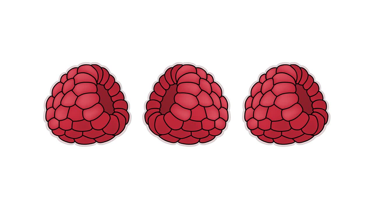 waiting for download. raspberry. 4K video illustration.