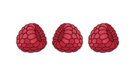 estoy esperando la descarga. raspberry. ilustración de video en 4k.