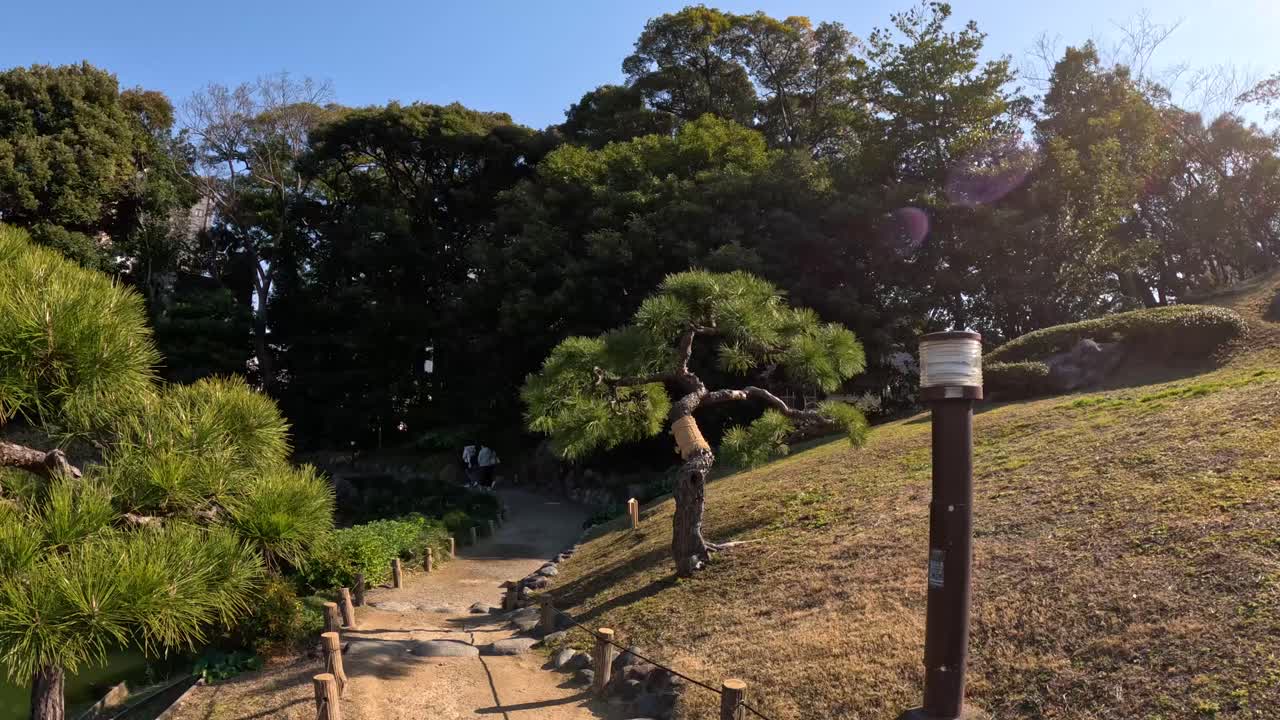 조용 한 정원 연못 을 돌아다니는 평화로운 산책