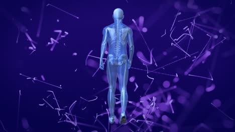animación de conexiones y procesamiento de datos sobre modelo humano azul caminando