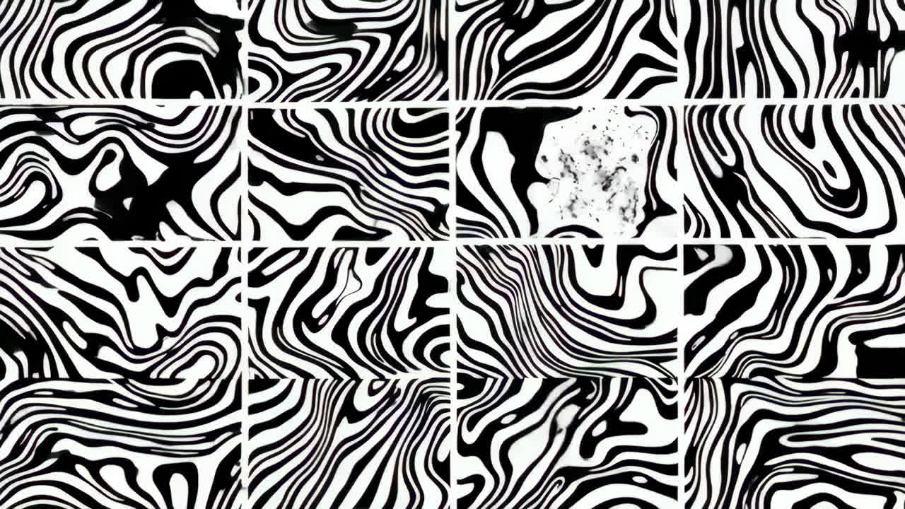 Abstract Black and White Wavy Grid Patterns