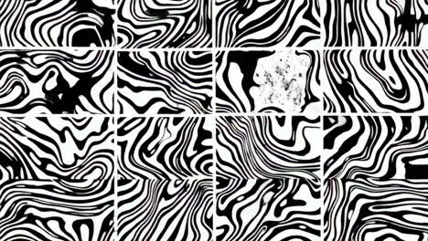 abstract black and white wavy grid patterns