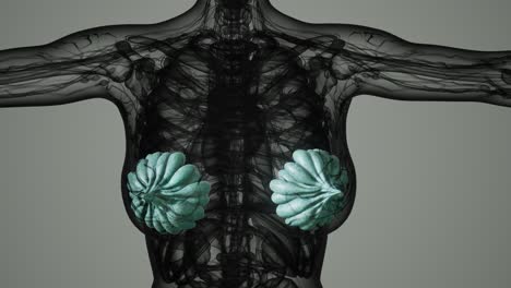 exploración médica del cáncer de mama de la mujer