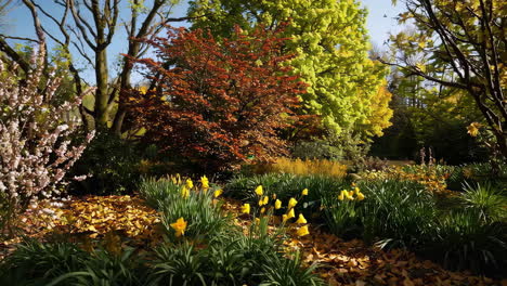 spring garden with colorful trees and flowers