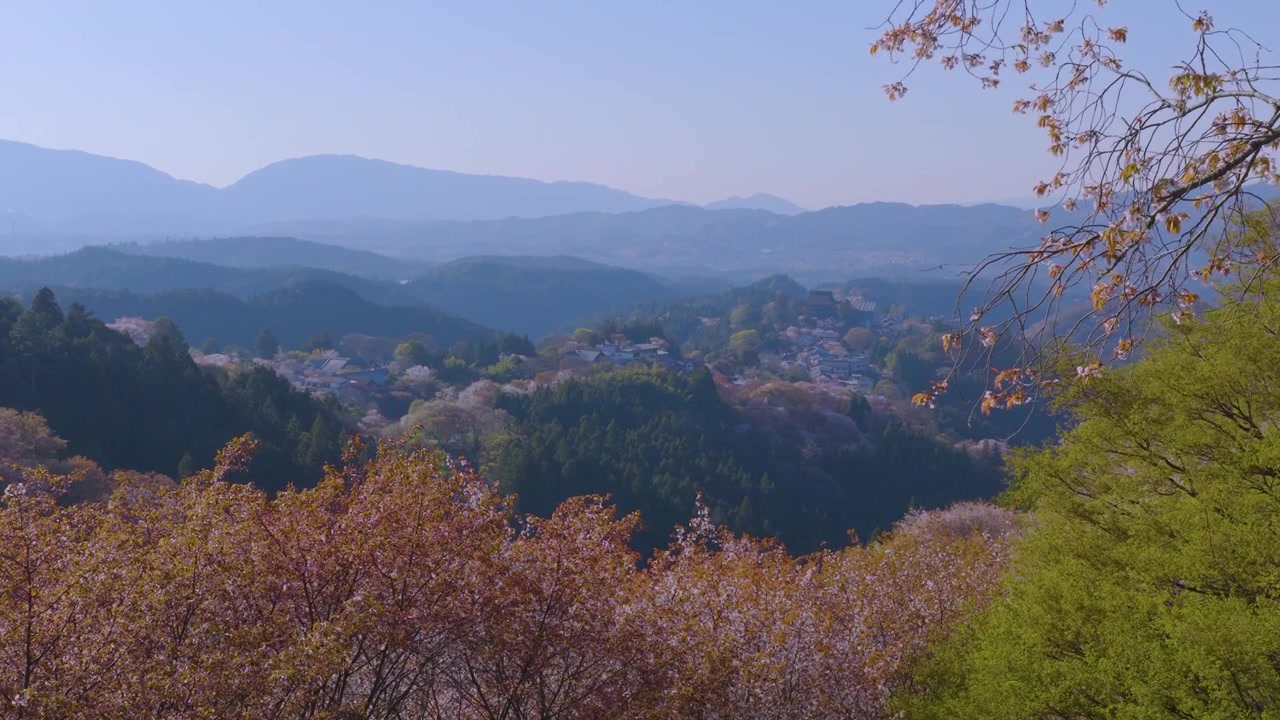 日本の奈良の絵のように美しい風景、春の桜の季節の吉野山。