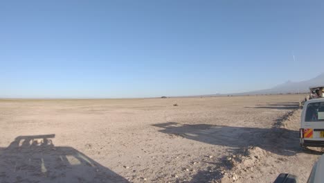 shadows of tourist in off road cars watching lion on safari in amboseli, africa