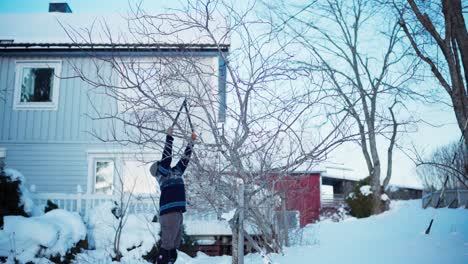 un hombre está podando pequeñas ramas del árbol para la propagación de invierno - toma estática
