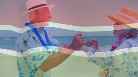 gambia flag animation over elderly couple dancing on tropical beach