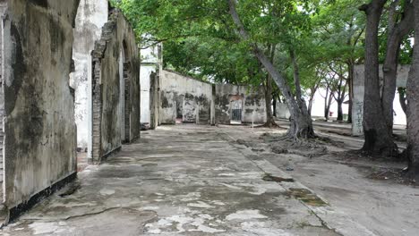 edificio en ruinas en un entorno tropical
