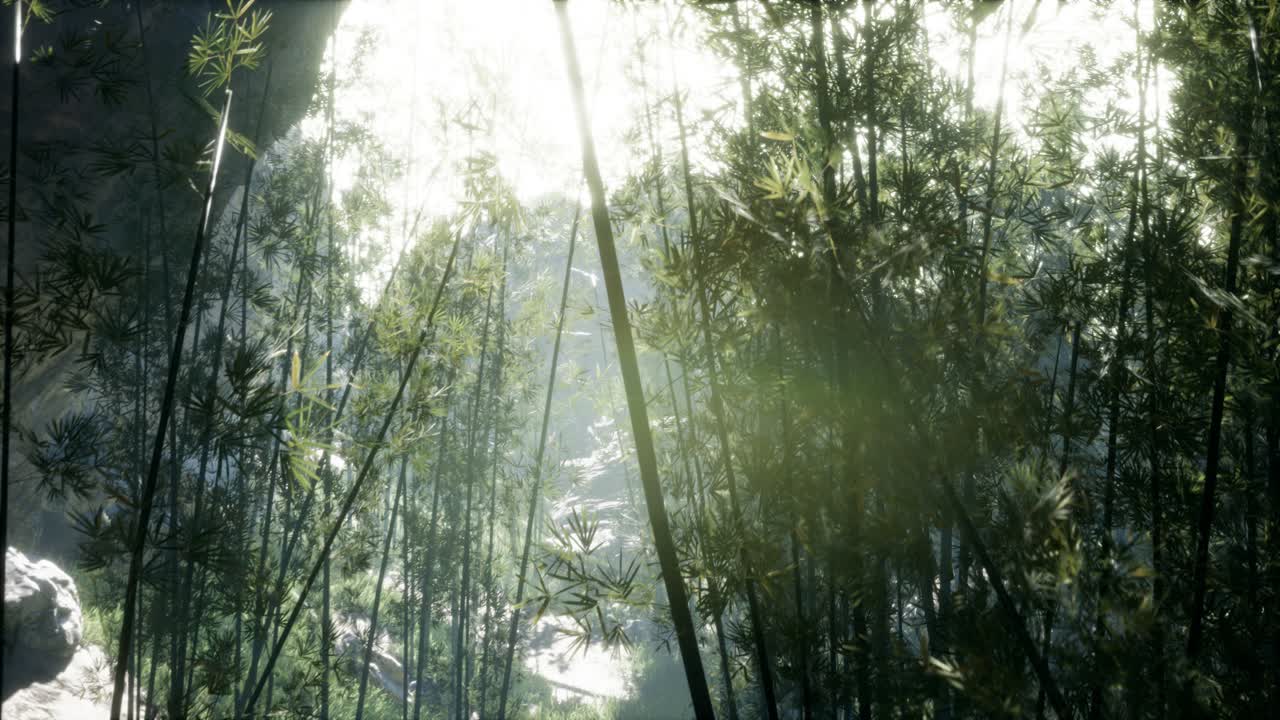 hojas verdes exuberantes de bambú cerca de la orilla de un estanque con piedras.