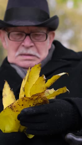 an old lonely man in a black coat and hat sits in an autumn park and holds yellow leaves an old lonely man in a black coat and hat sits in an autumn park and holds yellow leaves happy elderly people