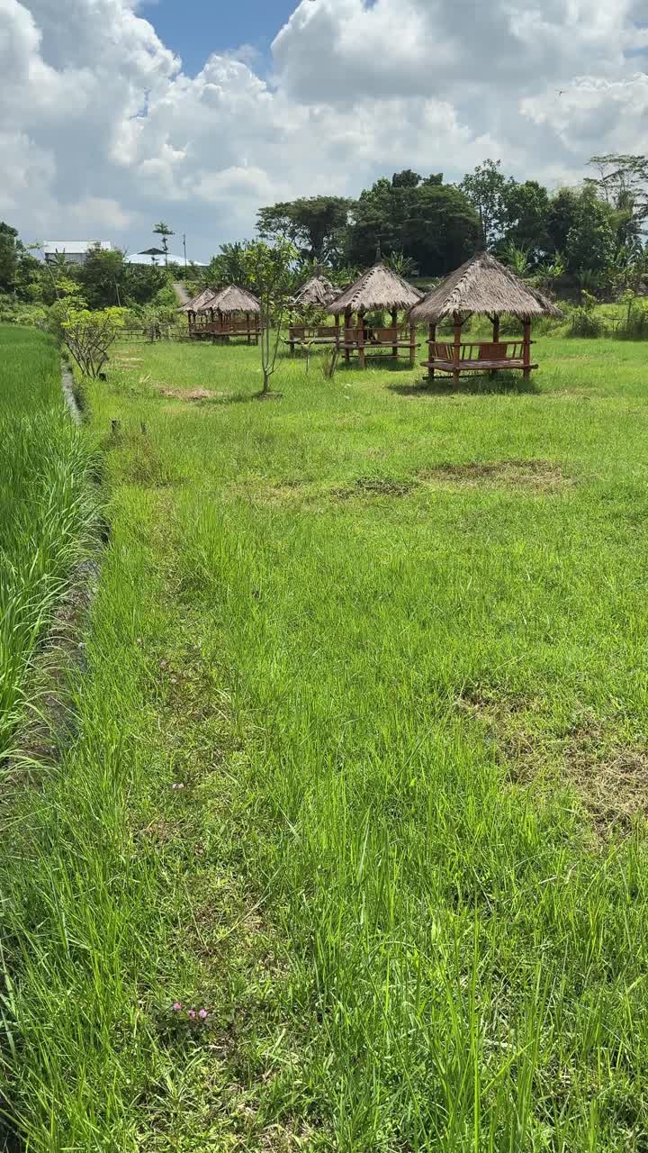 Campo de arroz verde con cabañas tradicionales bajo un cielo nublado.