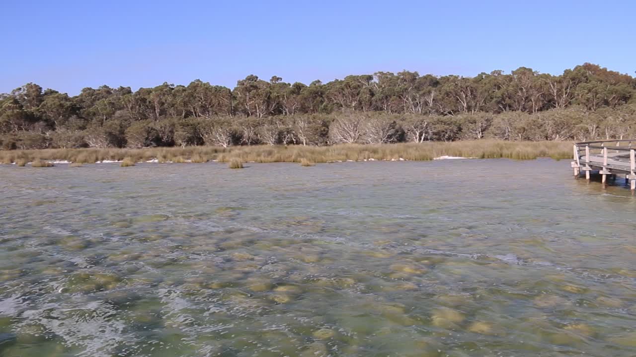 las trombolitas del lago clifton vistas desde el viejo muelle de madera.