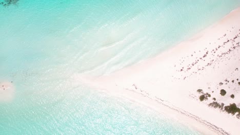 White-sandy-beach-island-and-crystal-blue-water-texture,-Aerial-Top-view-cayo-de-Agua-Los-Roques