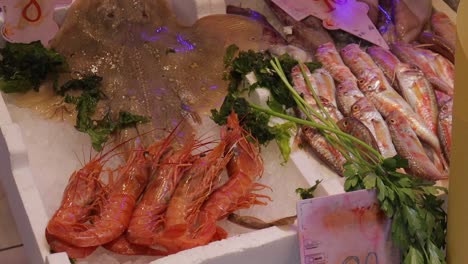 locally caught raw fresh seafood on display at italian fishmongers marketplace, close up