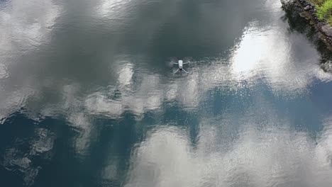 un avión no tripulado vuela sobre el hermoso fiordo de noruega, grabando imágenes de video