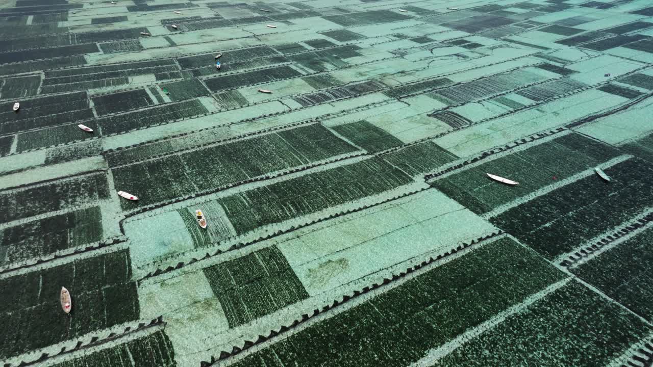 Bird's eye view of Nusa Lembongan’s seaweed farm with grids stretching across clear waters textured pattern