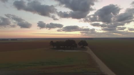 Un-Grupo-De-árboles-En-Medio-De-Los-Campos-Agrícolas-Del-Sur-Al-Amanecer