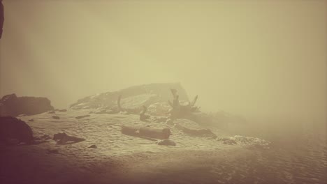rocky cliff with sand beach in deep fog