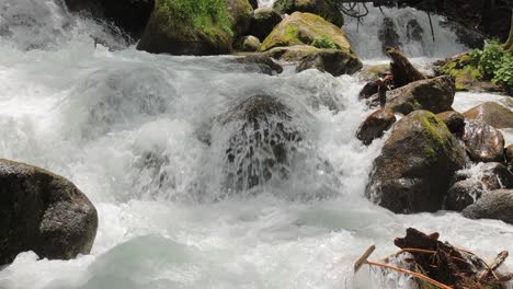 Gebirgsfluss-Im-Wald-In-Zeitlupe.-Wunderschöne-Tierlandschaft.