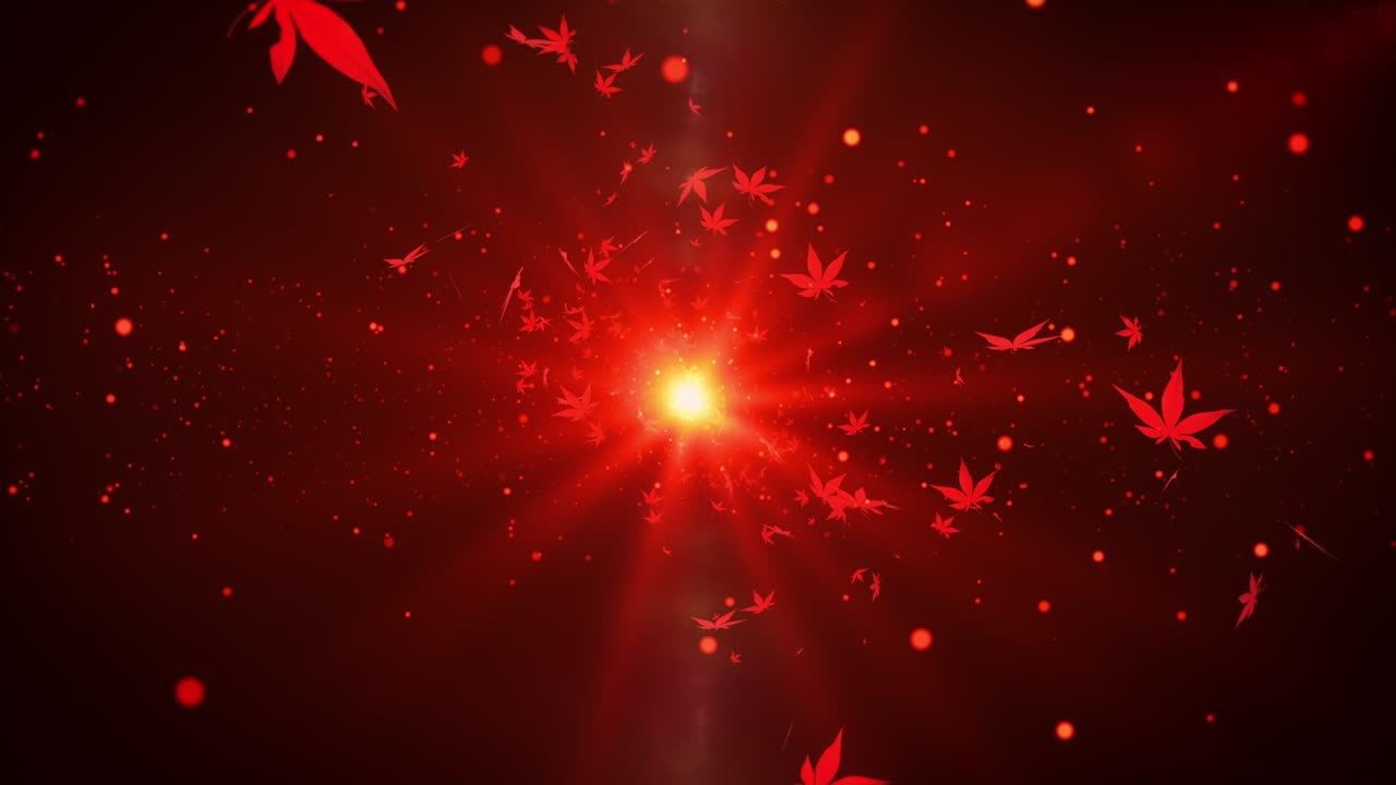 가을 메이플 잎 입자 루프 애니메이션