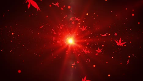 autumn maple leaves particle loop animation