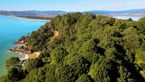 denso bosque en una colina rocosa en whangapoua con vista lejana de la playa de matarangi en coromandel, nueva zelanda