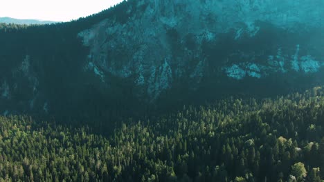 mountain forest aerial view