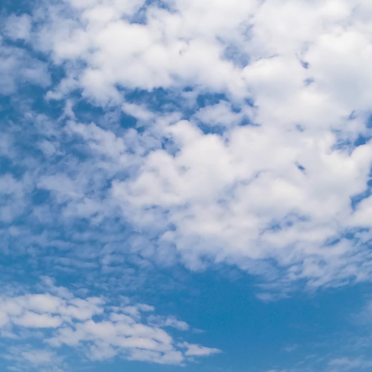 White beautiful cirrus-cumulus cloudscape spreading along the horizon. Summer skies with clouds from low angle perspective. Timelapse