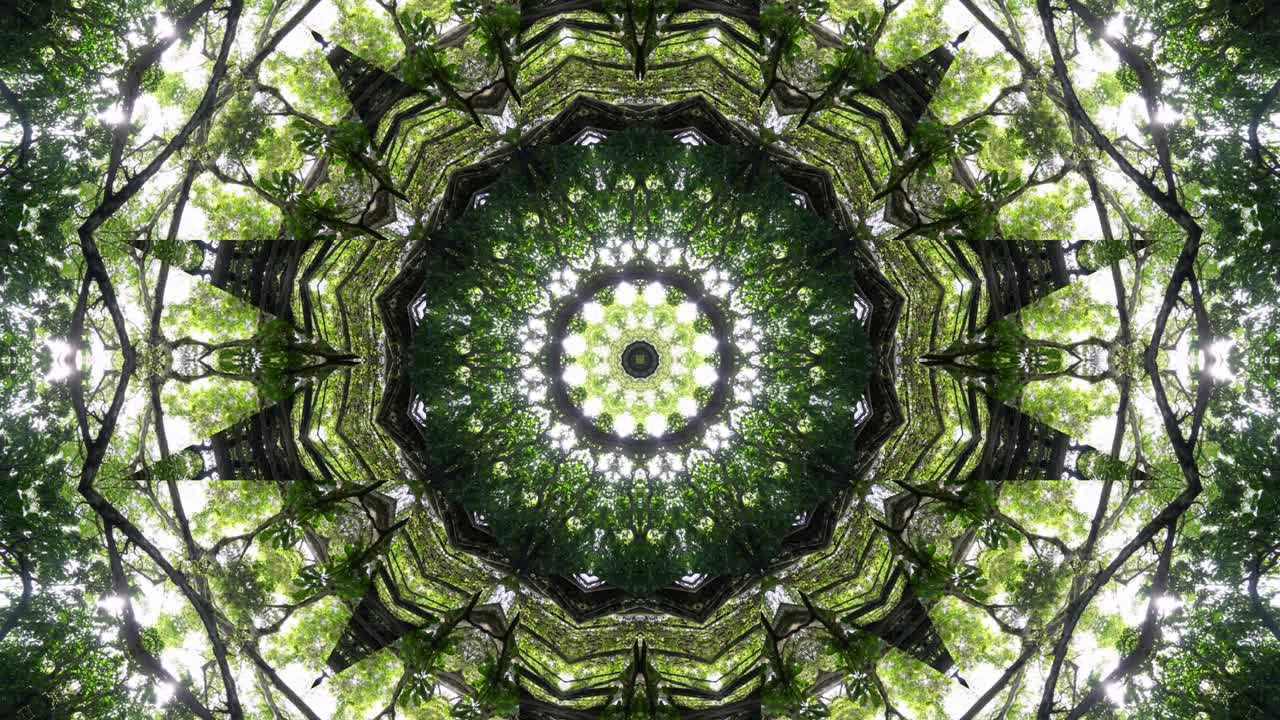 caleidoscopio de árbol verde en fondo abstracto de 4k