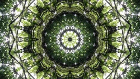 kaleidoscope of green tree in 4k abstract background